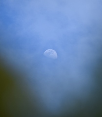 DSC_0481_1