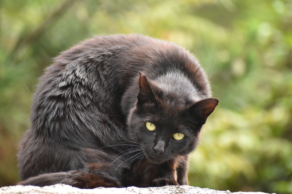 DSC_3132　ちょっと緊張