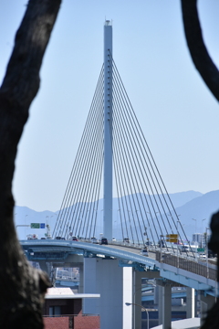 DSC_0651_2