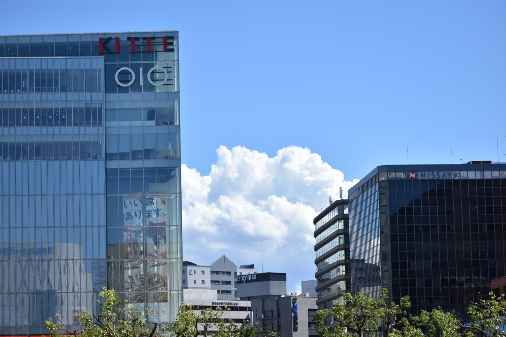 DSC_0418_1夏らしい雲でした。