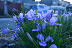 DSC_0476_1