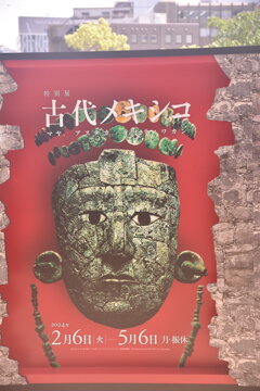全ての物が撮影可能
