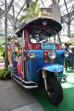DSC_0191　ＴＵＫＴＵＫ