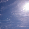 DSC_1402_1 (1)