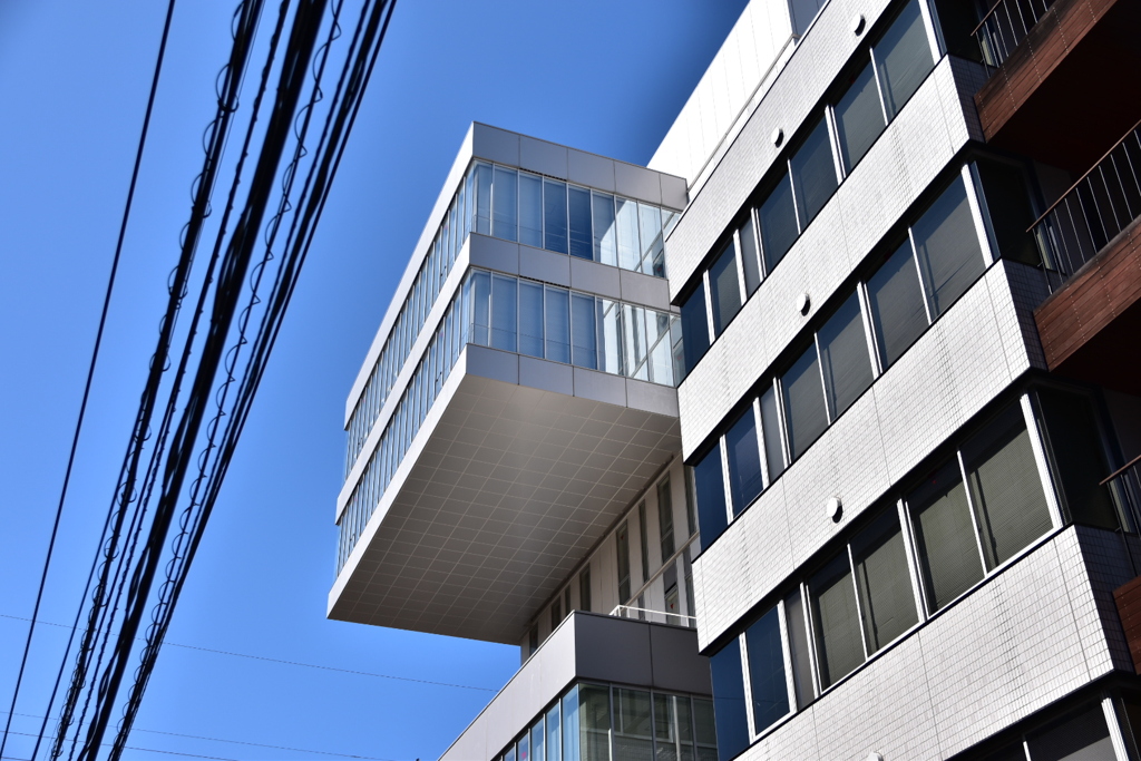 DSC_1176　出過ぎたまねを！