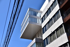 DSC_1176　出過ぎたまねを！