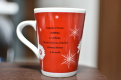 DSC_1829　メリー・クリスマス