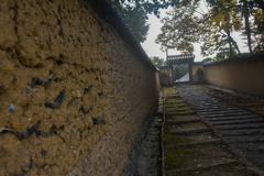 DSC_1431