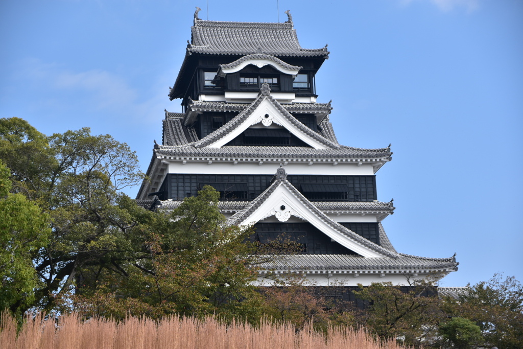 DSC_0945　熊本城