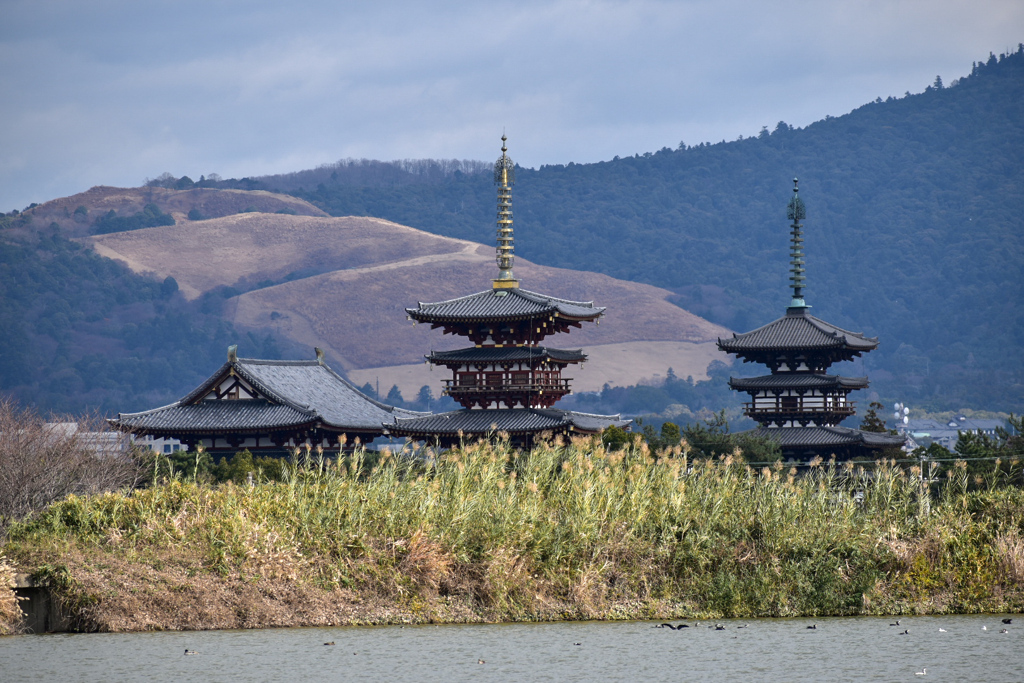 DSC_0515　奈良薬師寺遠景