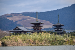 DSC_0515　奈良薬師寺遠景