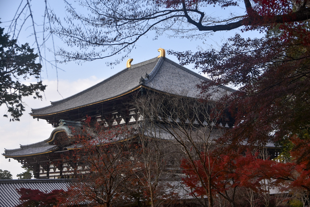 DSC_1493　東大寺大仏殿