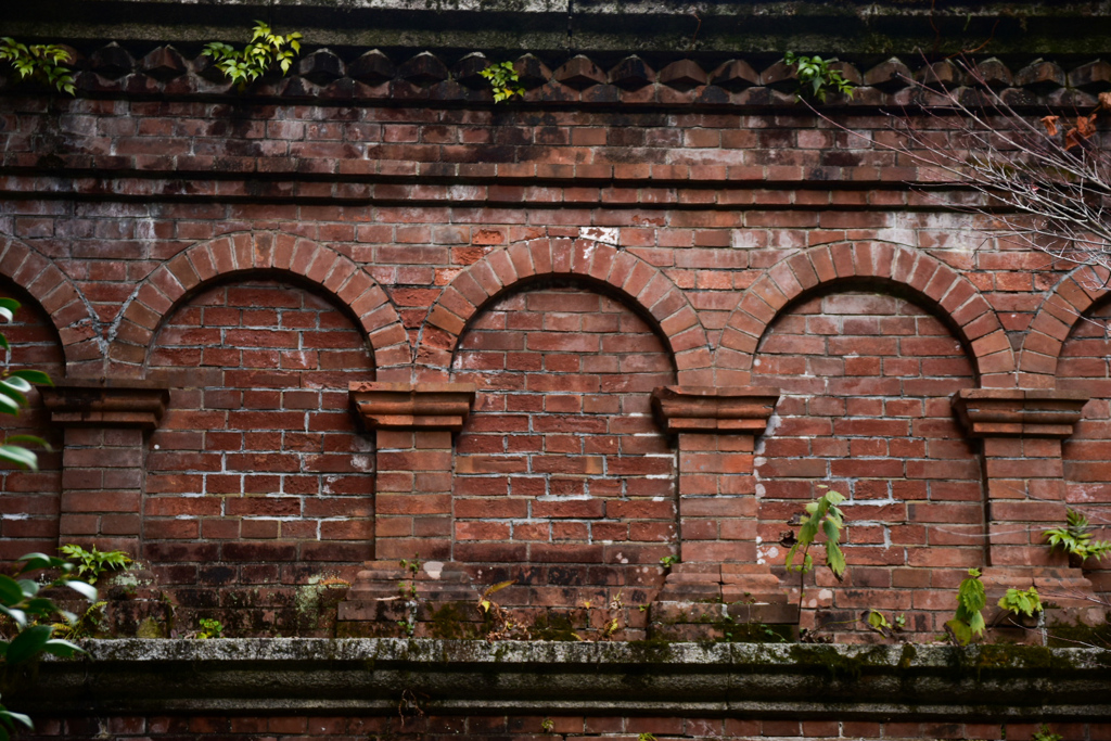 DSC_1671