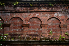 DSC_1671