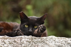 DSC_3133　2枚目はリラックス