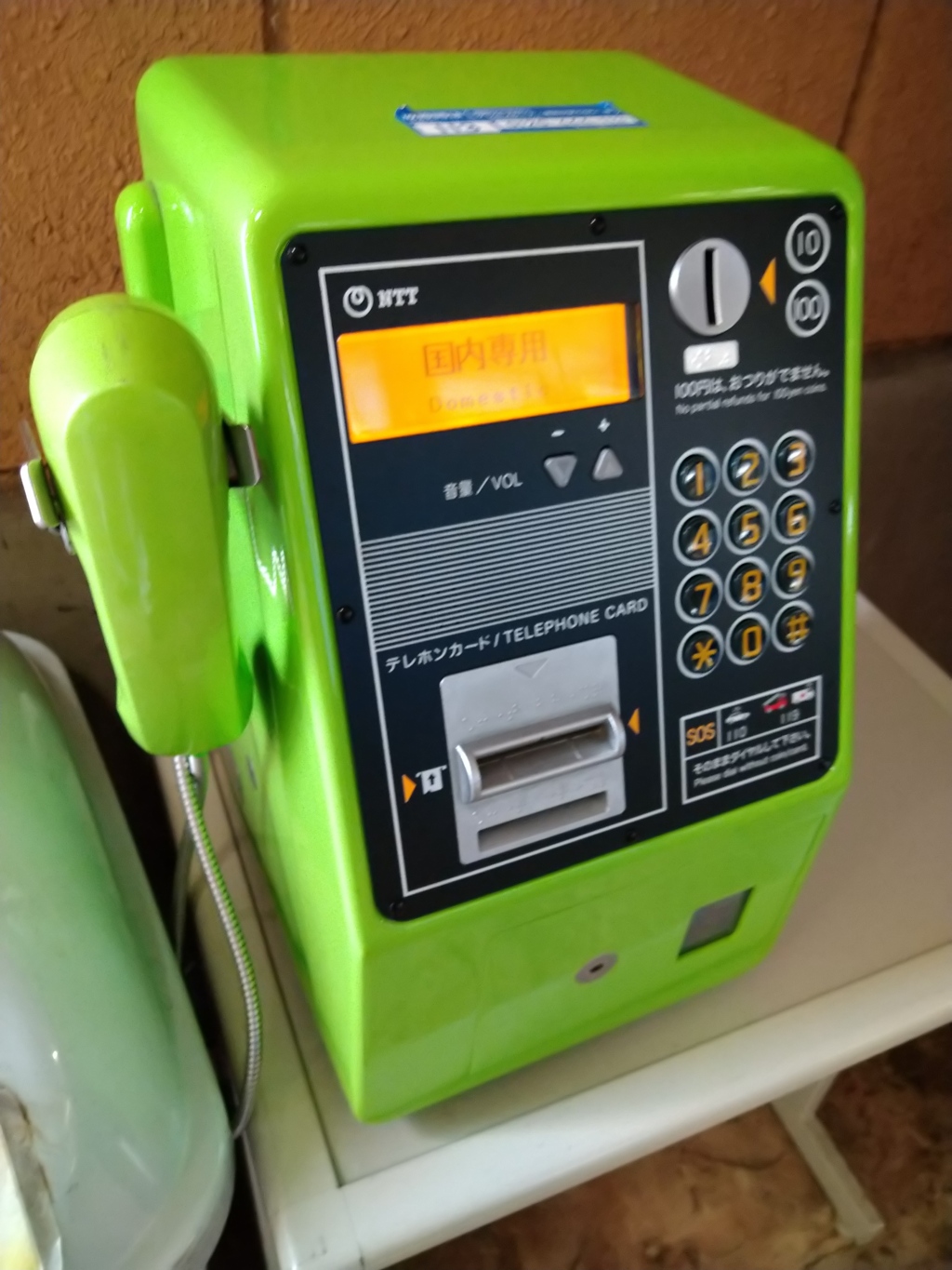 DSC_0188　チャチャタウンでいまだ健在