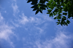 DSC_1043