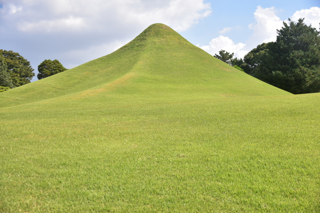 DSC_1006