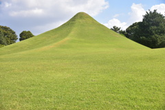 DSC_1006