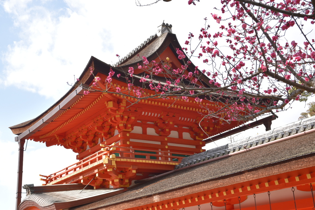 DSC_0506　奈良　春日大社