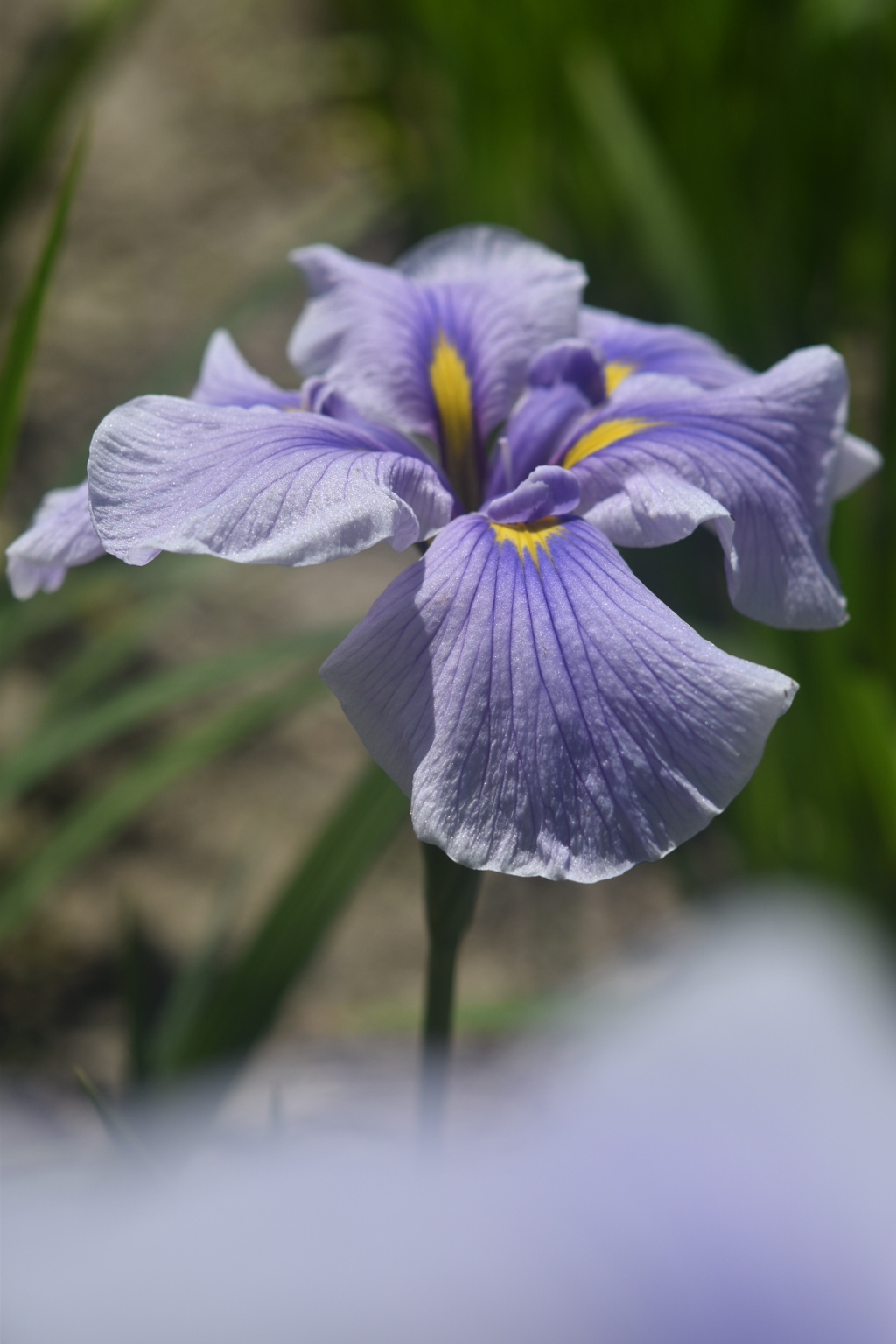 DSC_1691_1