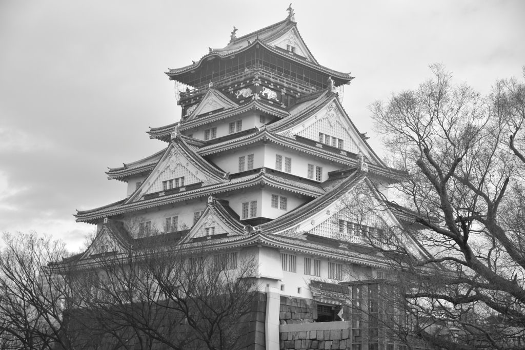 DSC_1990　夢の中の大阪城