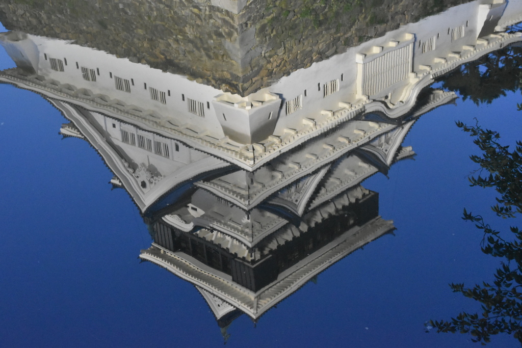 DSC_3038　小倉城水鏡