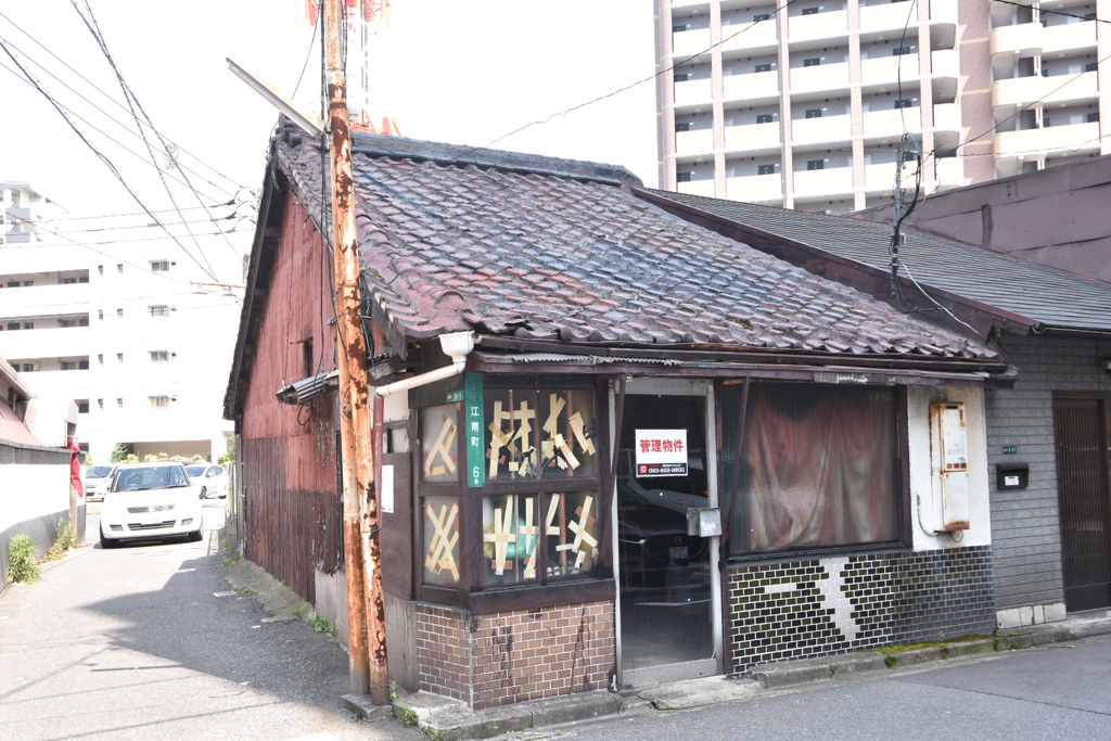 DSC_3241　この家どうですか?