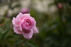 DSC_1402