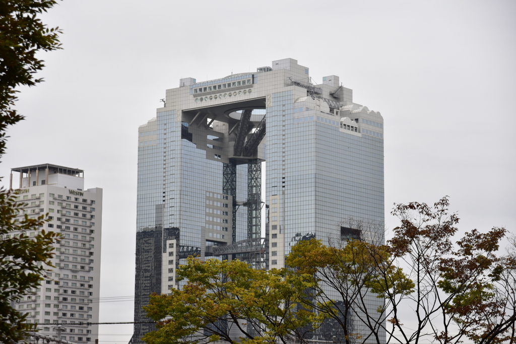 DSC_1265　梅田スカイビル