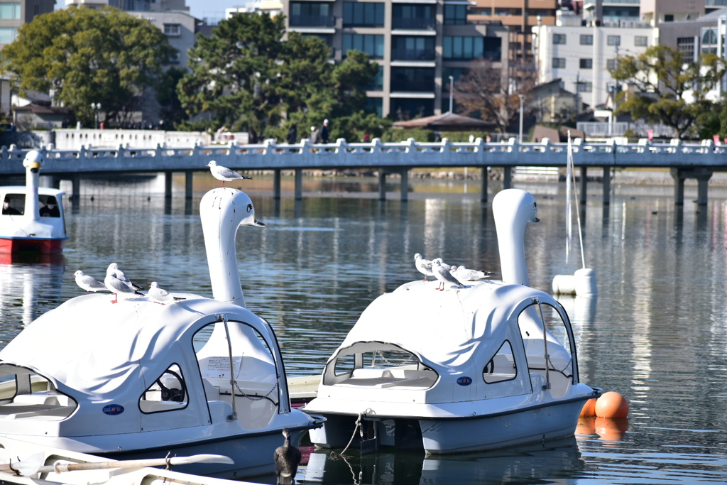 DSC_1758　みんな仲間だ