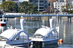 DSC_1758　みんな仲間だ