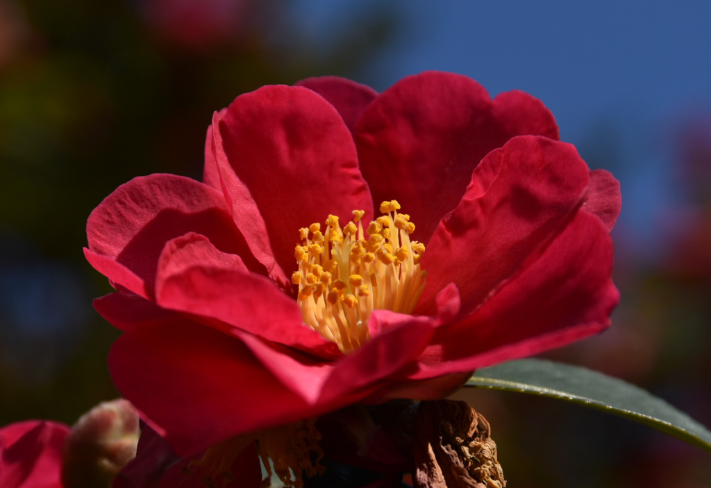DSC_0457_2