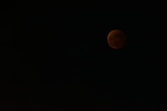 DSC_1310　皆既月食