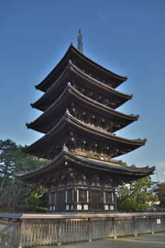 DSC_0578奈良興福寺五重塔