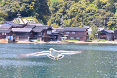 DSC_1115_1