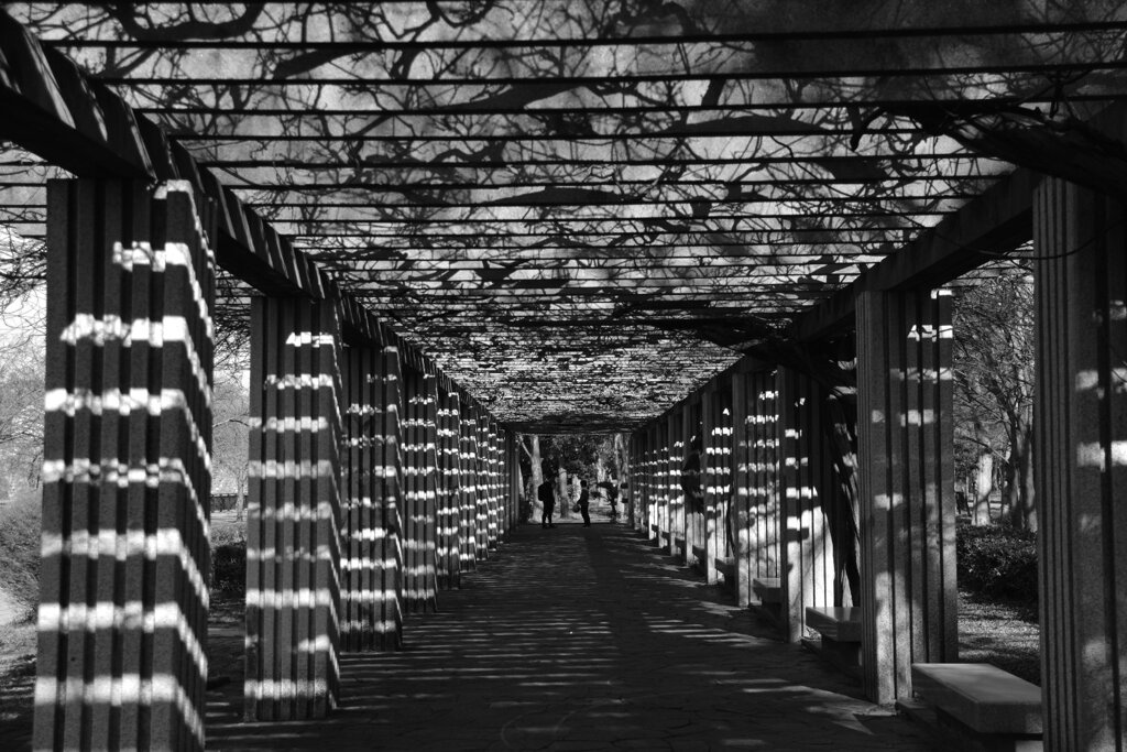 DSC_0246_1