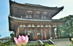 DSC_0198_1 (1)