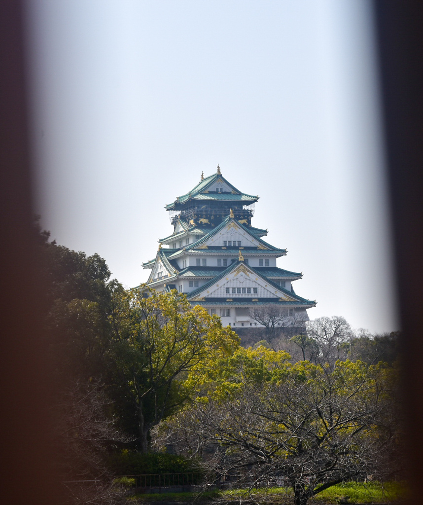 DSC_0623 (1)