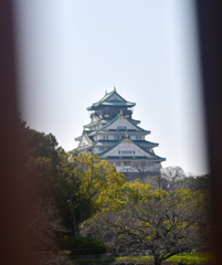DSC_0623 (1)