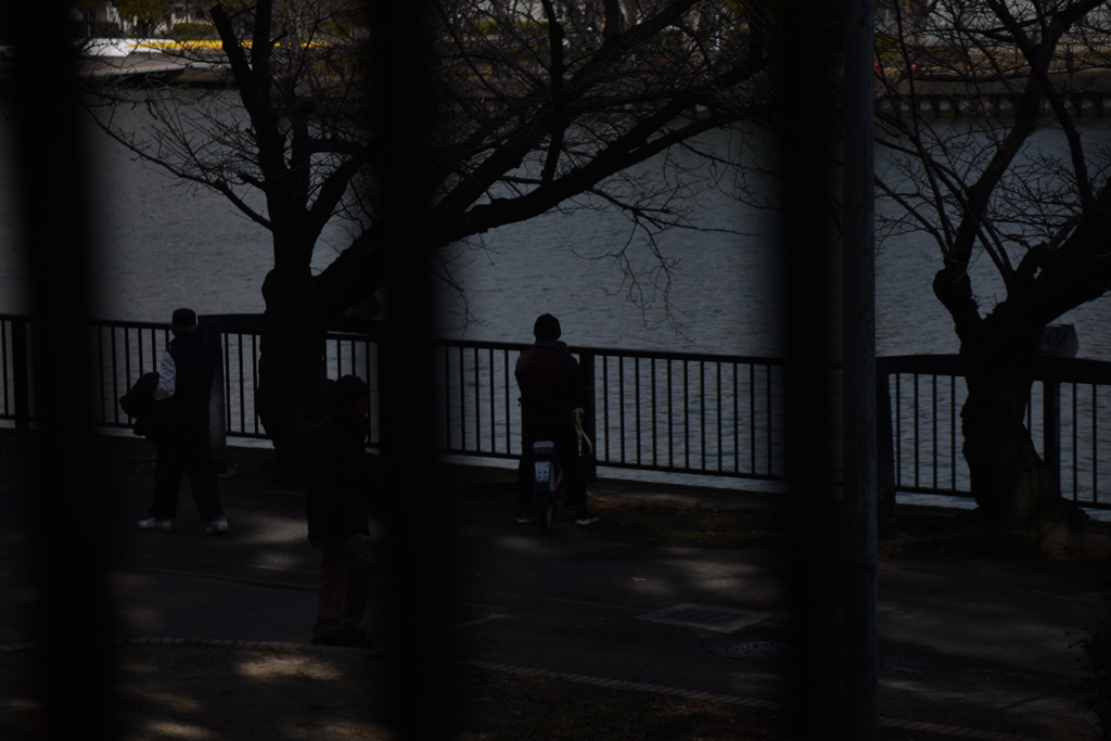 DSC_0460_3