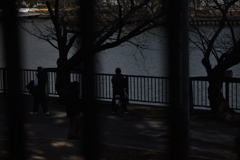 DSC_0460_3