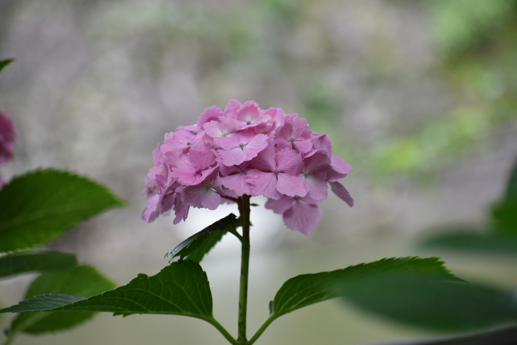 DSC_3070