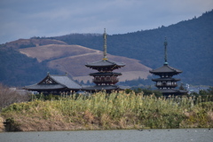 DSC_0515薬師寺遠景