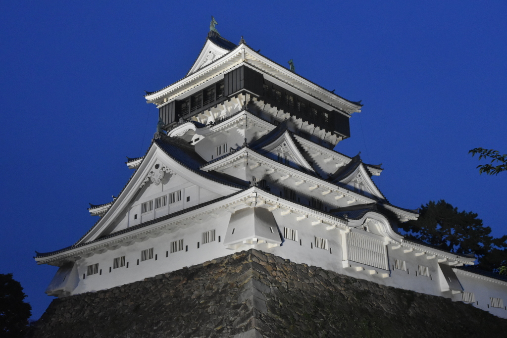 DSC_3043　小倉城ライトアップ