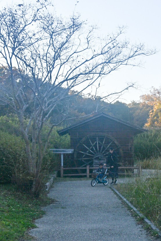 DSC_1608_1 (1)
