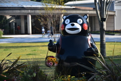 DSC_1185　熊本動植物園　くまモン