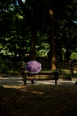 陽だまりの公園で