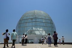 ムシっと梅雨晴れ　暑いけど