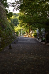 逆にちっこ過ぎる鳥居